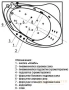 акриловая ванна aquatek альтаир 160х110 alt160-0000008 правая, без гидромассажа