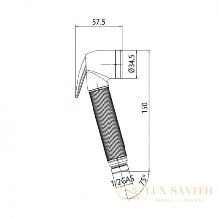 гигиеническая лейка bossini nikita b00650.030, хром